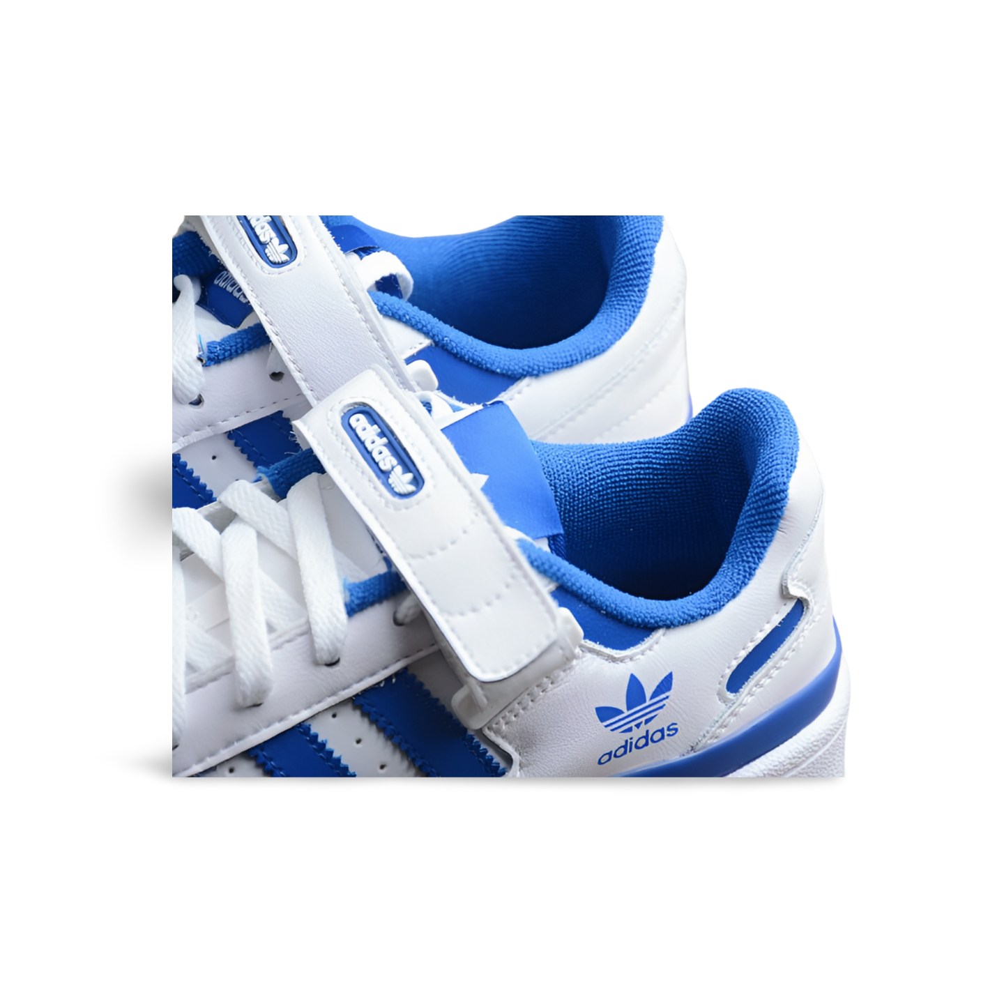 Adidas Forum Low Royal Blue - Sneakers Club