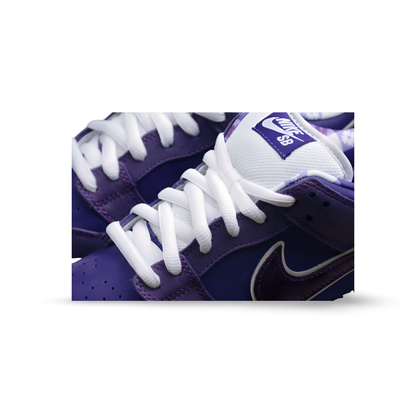 Concepts X SB Dunk Low Purple Lobster - Sneakers Club