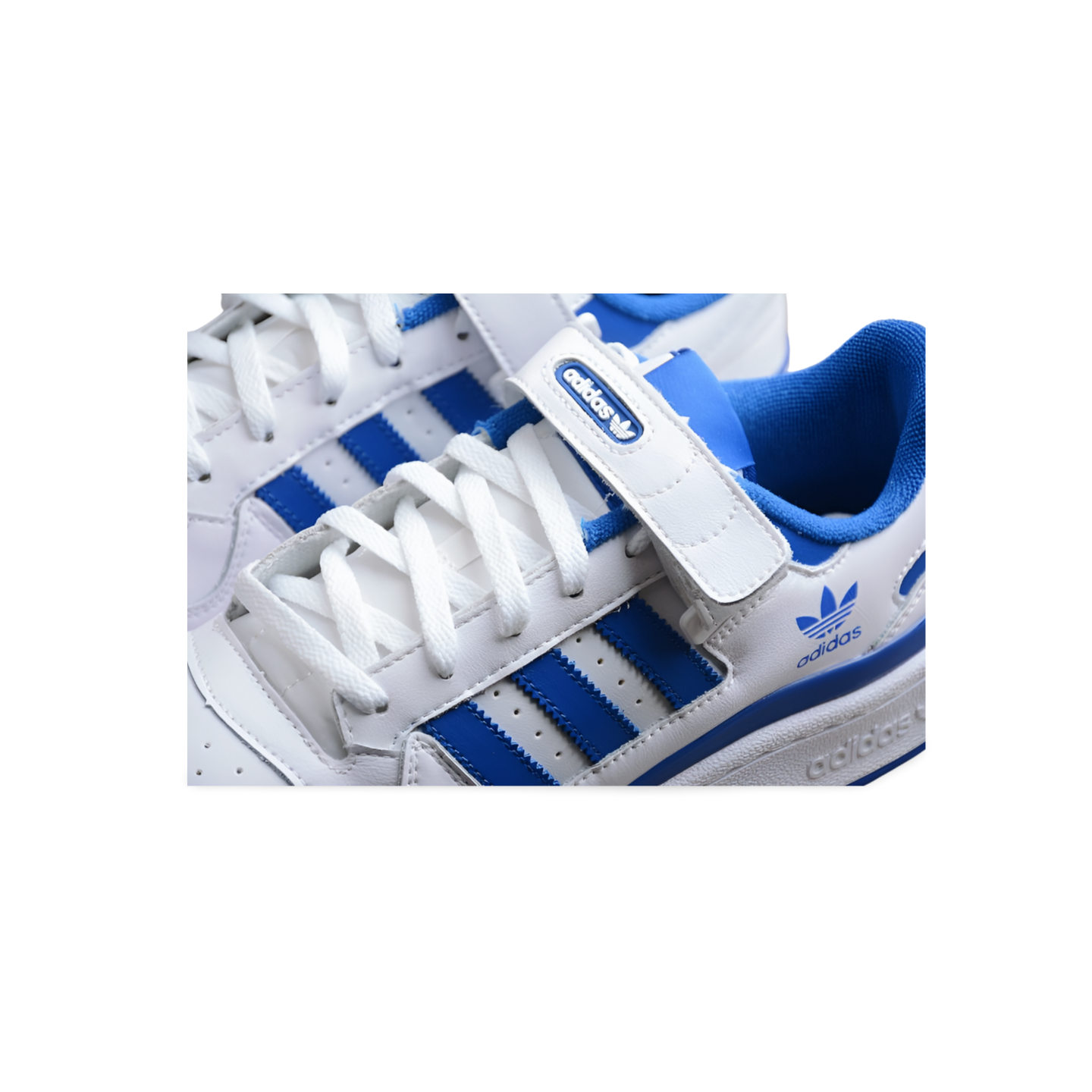 Adidas Forum Low Royal Blue - Sneakers Club