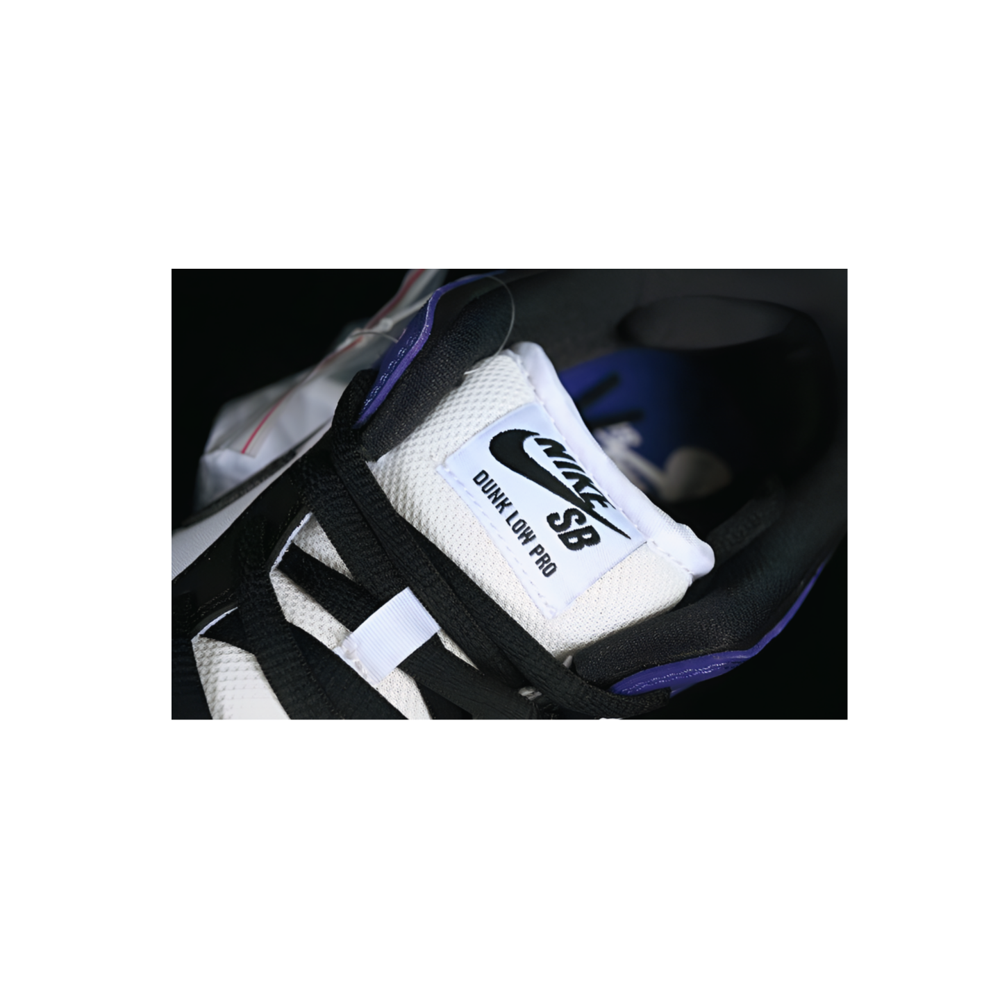 Dunk SB Low "Court Purple" - Sneakers Club