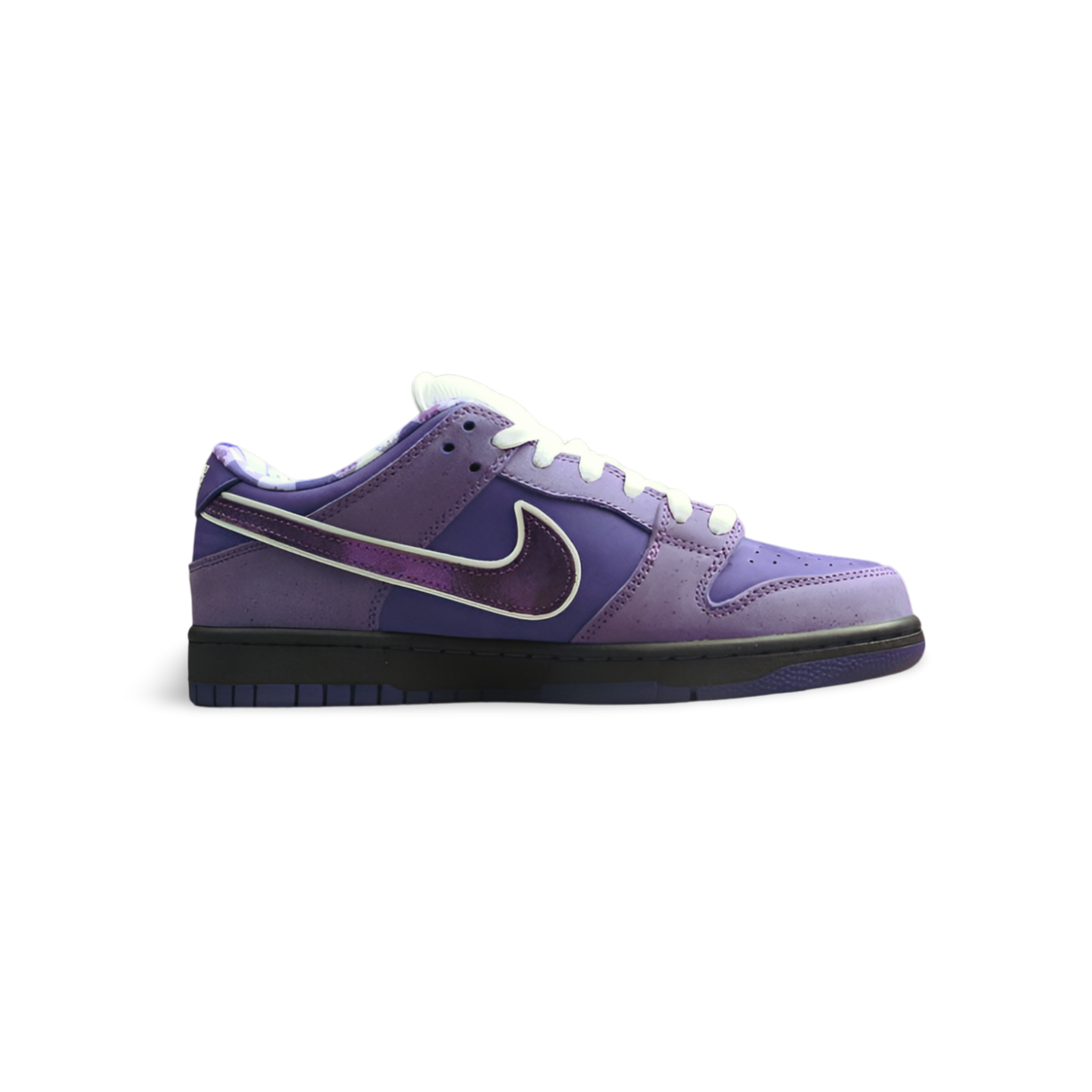 Concepts X SB Dunk Low Purple Lobster - Sneakers Club