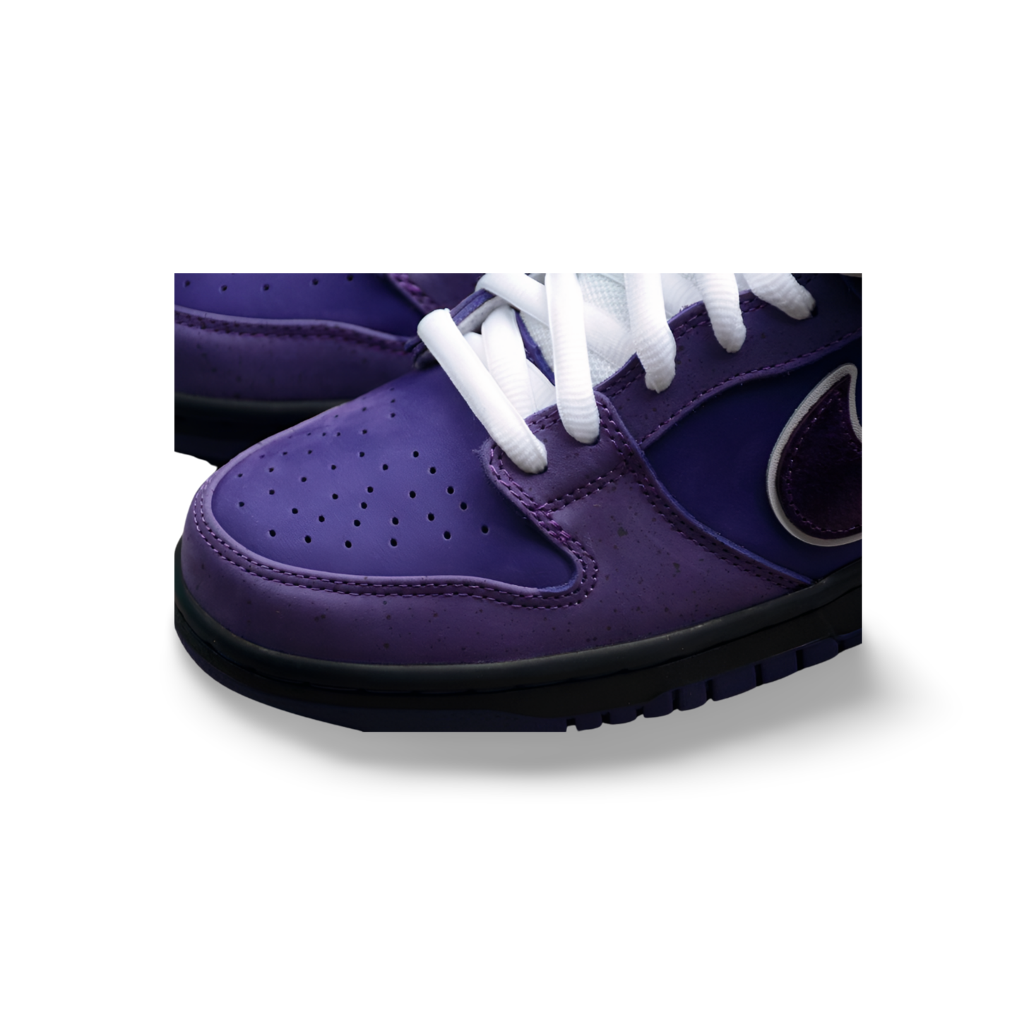 Concepts X SB Dunk Low Purple Lobster - Sneakers Club